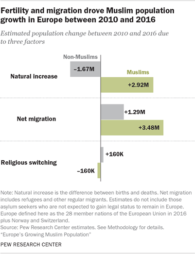 Fertility and migration drove Muslim population growth in Europe between 2010 and 2016