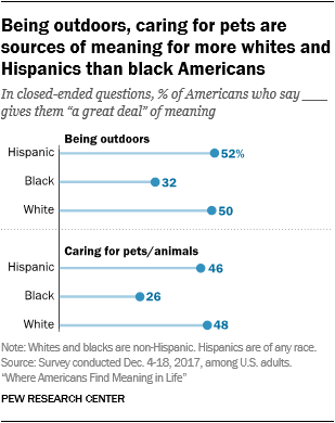 Being outdoors, caring for pets are sources of meaning for more whites and Hispanics than black Americans